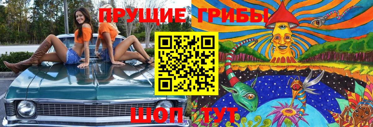 Галлюциногенные грибы мицелий  Вход с VPN  Псилоцибиновые грибы Cubensis  где найти наркотики  Усолье-Сибирское 